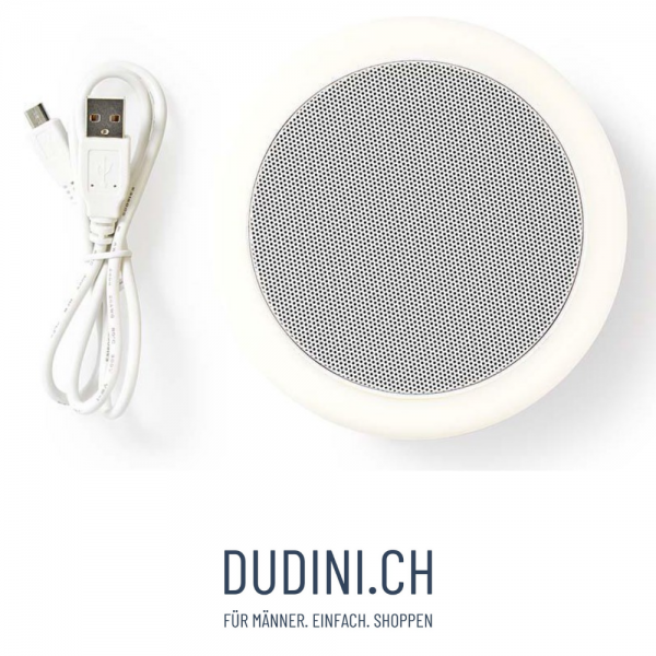Nedis Drahtloser Multiroom-Lautsprecher Lampe WLAN N-Play Smart-Audio
